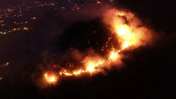 Giresun'da orman yangını! 9 dönümlük alan zarar gördü-3