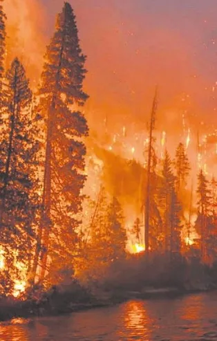 Amazon ormanlarındaki yangın söndürülmezse dünya yoklukla karşı karşıya!