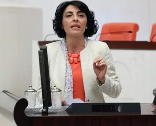 Darbe çığırtkanı