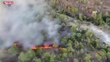 Antalya Kemer Ulupınar Mahallesi'nde orman yangını çıktı