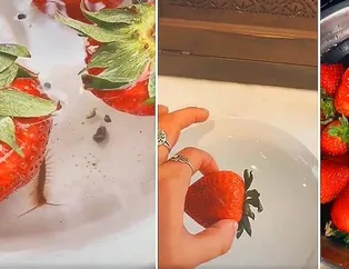 Çilek deneyi videosu doğru mu? Gerçekler ortaya çıktı! Meğer tüm dünyayı kandırmış...