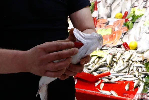 Müsilaj (deniz salyası) ticareti de etkiledi! Balık satışları durdu - 9