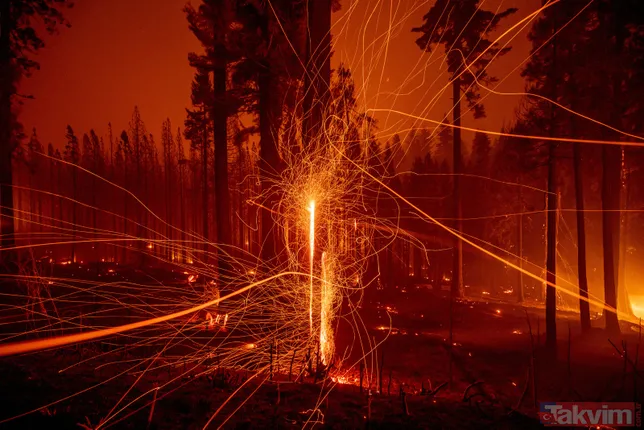 ABD’nin California eyaleti alev alev! 50 binden fazla hanede elektrik yok