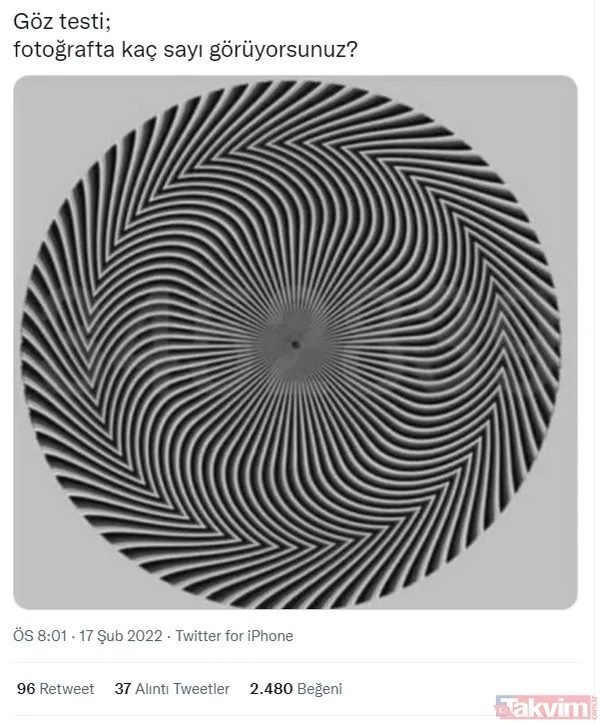 Hangi rakamları görüyorsunuz? Kendine güvenen bu testi çözsün! Sosyal medya ikiye bölündü neğer... - 3