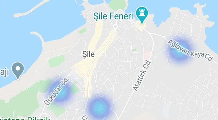İstanbul'un güncel koronavirüs yoğunluk haritası! İşte ilçe ilçe İstanbul koronavirüs vaka haritası | Hayat Eve Sığar - 30