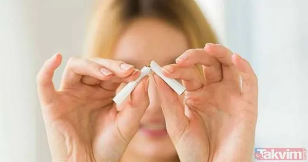 📌Winston, Marlboro, Parliament, Kent sigara zammı geri mi alındı, iptal mi oldu? 🚭Sigara zammı geri çekilecek mi? MART 2022 JTİ-BAT- Philip Morris güncel fiyat listesi! - 4