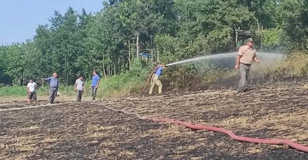 Olacak iş değil! Anız yakan çiftçiye 2 bin 800 TL ceza kesilirken yangın ormana sıçramadan söndürüldü