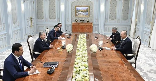 Dışişleri Bakanı Çavuşoğlu Özbekistan Cumhurbaşkanı Mirziyoyev ile görüştü