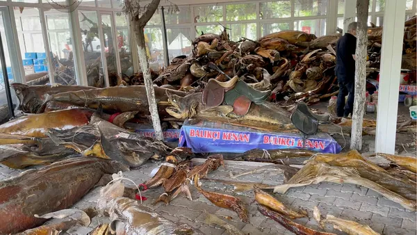 Beylikdüzü'nde katliam var! Türkiye Deniz Canlıları Müzesi'ni yıkan CHP'li belediye bu kez de 160 ağacı söktü!-4