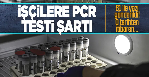 Kovid-19 aşısı olmayan işçilere PCR testi şartı! Bakanlık 81 ile yazı gönderdi