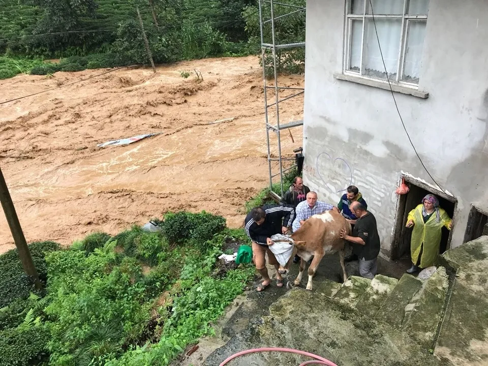 Rize’yi sel vurdu! Evleri su bastı  - 11