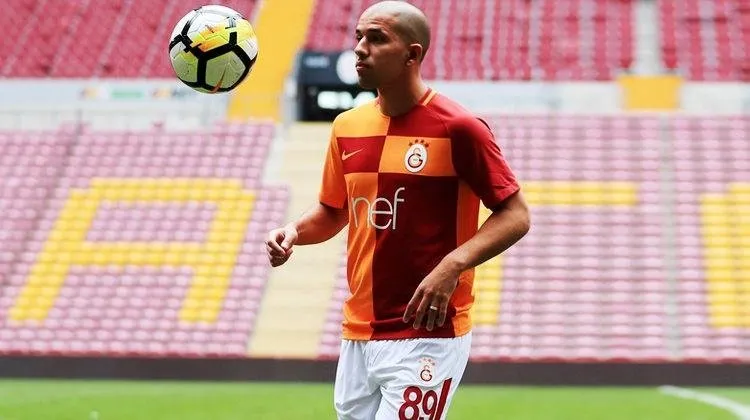 Feghouli seferberliği