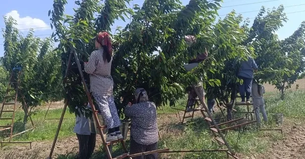 Avrupa Kapılarını Tek Başına Açtı: Edirne'nin O Köyünden Gelen Dev İhracat Atılımı