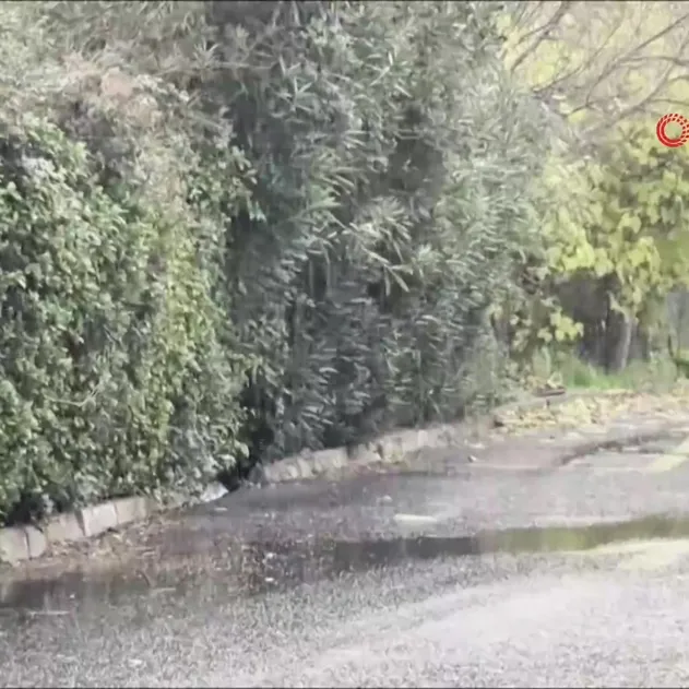 İstanbul’da kar yağışı başladı