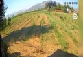 Eğitim uçağının düşme anının görüntüsüne ulaşıldı
