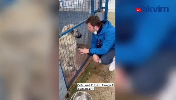 Kıvanç Tatlıtuğ-Başak Dizer çiftinden hayvan barınağı ziyareti