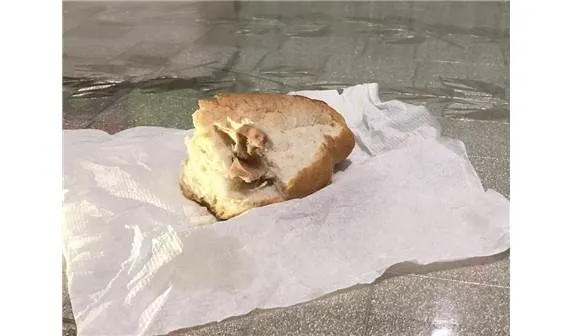 Tekirdağ'da ekmeğin içinden yara bandı çıktı-5
