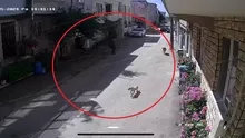 Bursada sokak köpeklerinin saldırdığı 3 çocuktan 2si yaralandı: Olay anı kamerada