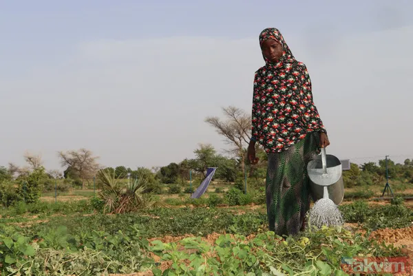 Nijer çıkarmasının perde arkası ve Ankara'yı bekleyen fırsatlar! Al uranyumu yap altyapı | Nijer portresi %99'u Müslüman %80'i elektriksiz - 13