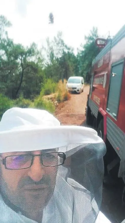 Muğla'da devrilen kamyonetteki arıılar Marmaris İlçe Tarım Müdürü'ne saldırdı