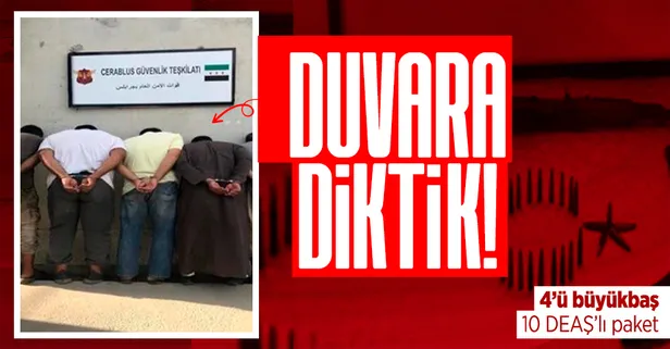 Terör örgütü DEAŞ'a operasyon: Sözde 4 sorumlu paketlendi