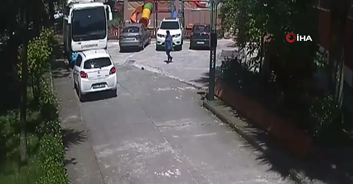Yoldaki yavru kargayı kenara koymak isterken yetişkin kargaların saldırısına uğradı