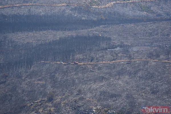 Bir izmaritin bedeli 50 hektarlık alan oldu! İşte İzmir'deki yangın faciasının çıkış anı - 3
