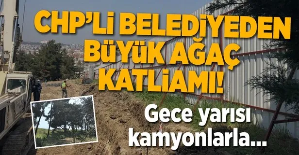 CHPli Büyükçekmece Belediyesinden ağaç katliamı