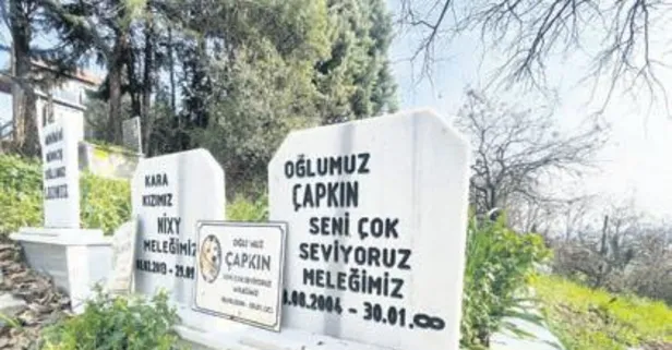 Hayvanlara özel mezar yeri merak konusu oldu!