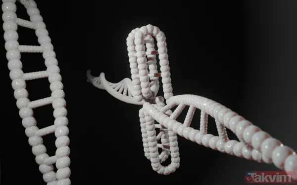 Çözüm kaliteli ilişkiler kurmaktan geçiyor Zor insanlardan kaçmak tamamen izole olmak anlamına gelmemeli. Dünya Sağlık Örgütü verileri yalnızlığın da yılda...