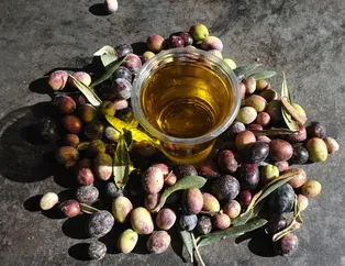 Zeytin çekirdeği yemenin faydaları saymakla bitmiyor!