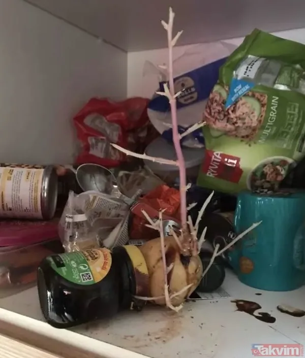 'Bu kadar da olmaz' dedirten iğrenç görüntüler! Mide bulandıran görüntüler - 6