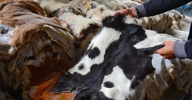Kurban derisinden 15 milyar lira