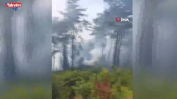 Hatay'da korkutan orman yangını