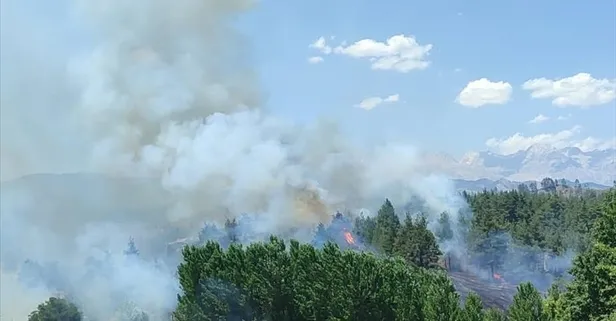 Adana'daki orman yangını kontrol altına alındı