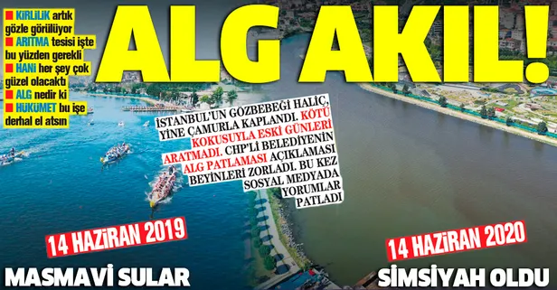 CHP'li İBB Haliç için skandal 'alg patlaması' açıklaması