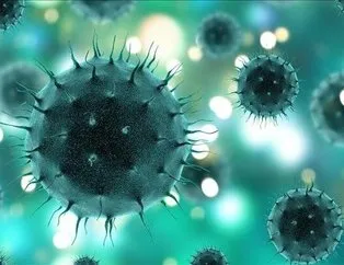 Koronavirüsten sonra yeni virüs tehlikesi!
