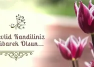 En anlamlı, dualı, güzel, hadisli, resimli Mevlid Kandili sözleri Whatsapp, Instagram, Facebook 26 Eylül Mevlid Kandili mesajları 2023!