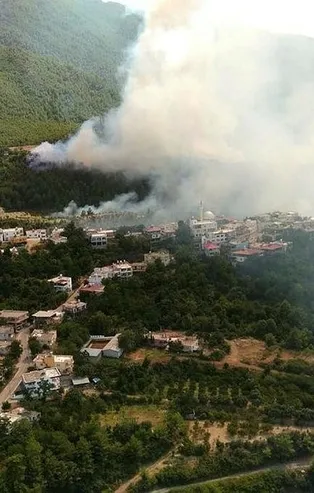 Hatay'da orman yangını!