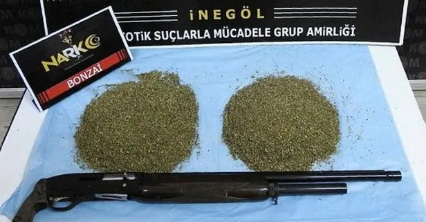 Son dakika: Bursa’da eve uyuşturucu baskını: 1 kilo bonzai bulundu
