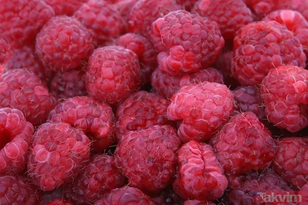 🍦 Ahududu Soslu Sağlıklı Dondurma– 7,8 Gram Lif Şaşırtıcı Ama Gerçek: Ahududu Püresi Ve Çözünür Mısır Lifi İçeren Bu Dondurma, Prebiyotik Etkisiyle Bağırsak...