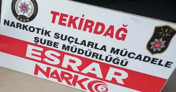 Tekirdağ'da uyuşturucu operasyonlarında yakalanan 29 şüpheli tutuklandı