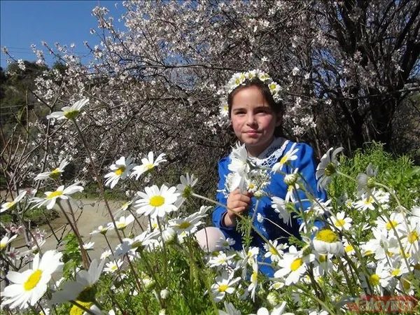 Kış bitiyor doğa uyanıyor! 3. cemre toprağa ne zaman düşecek? - 4