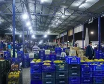 Çiftçi kazanamıyor tüketici alamıyor! Eski Hazine ve Maliye Bakanı Berat Albayrak’ın açıkladığı Hal Yasası neden hala çıkmıyor?