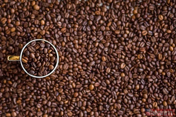 Dolaba koymayın! Bu gıdalar soğukta anında zehre dönüşüyor - 4