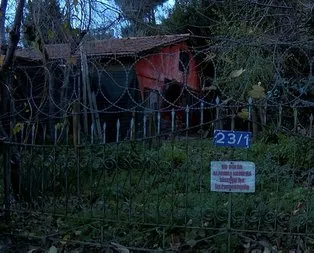 Robin Hood bu kez Üsküdar’da ortaya çıktı
