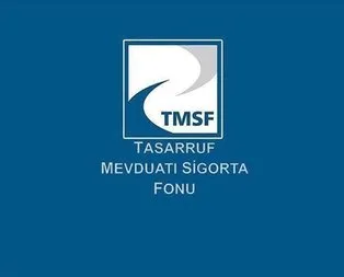 TMSF 4 şirketi satışa çıkardı