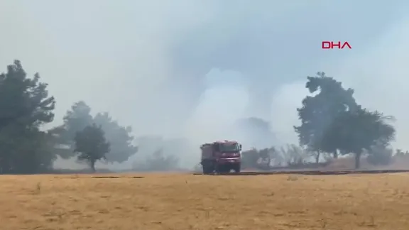 Çanakkale'de orman yangını