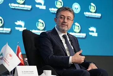 İlaçlı ürün imha ediliyor