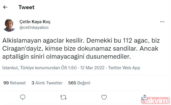 Gezici tayfa ve sözde çevrecilerin ikiyüzlülüğü! CHP'li İBB'nin ağaç katliamı karşısında dilini yuttular: Tepkiler çığ gibi - 8